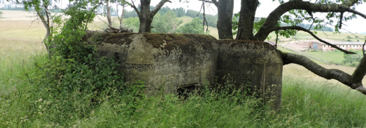 horni-benesov-vec-118br-prehled