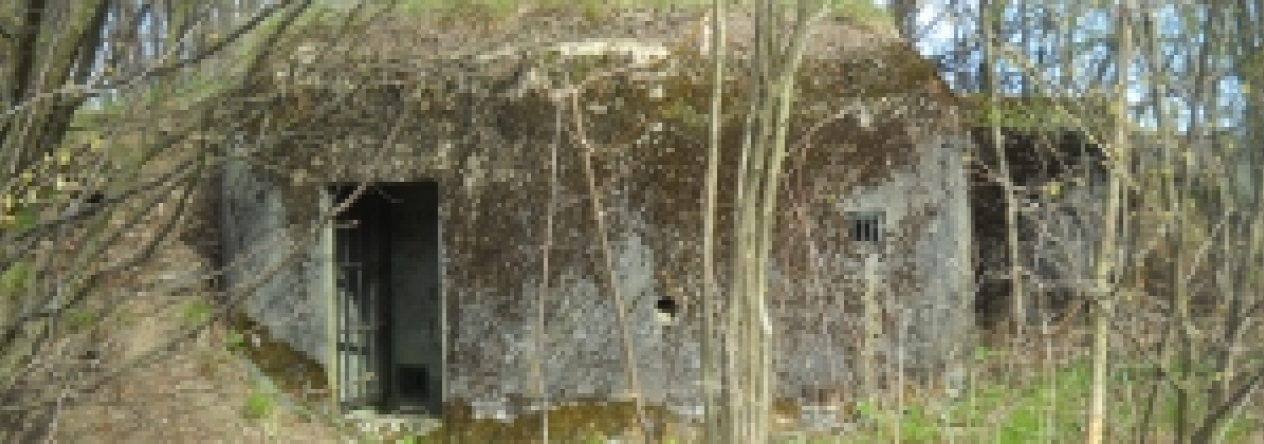 stare-mesto-pod-kralickym-sneznikem-vec-141asu-prehled
