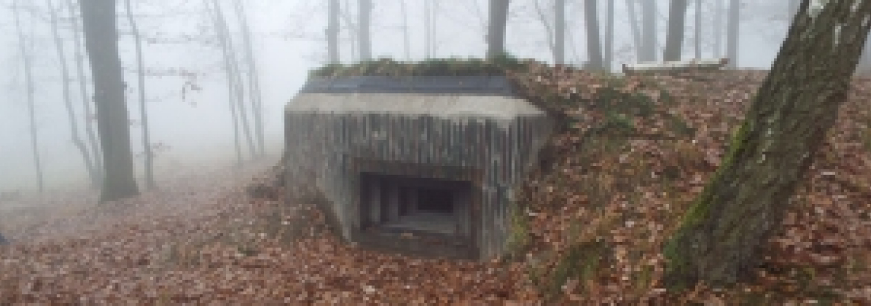 hradecna-vec-n4004-prehled