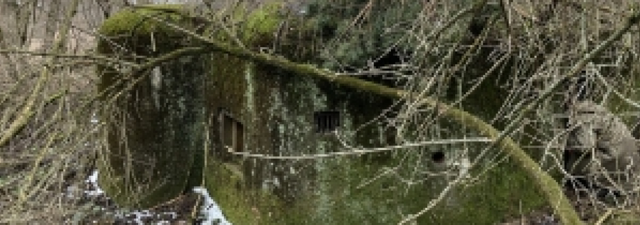 milostovice-vec-r61op-prehled