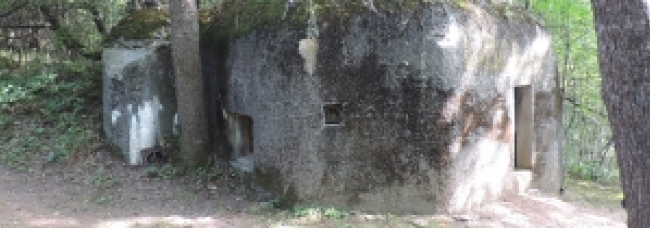 domasov-u-jesenika-vec-217je-prehled