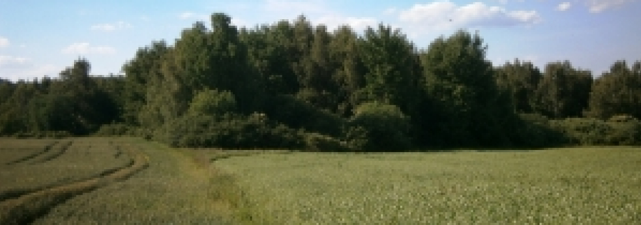 vilanec-pc-1997-2-2011-2-prehled