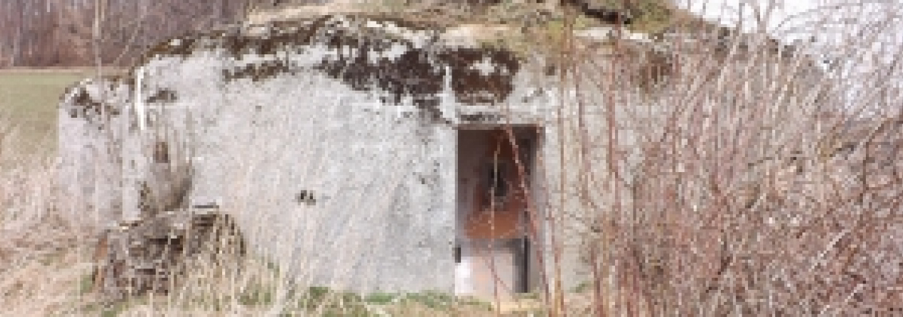 adolfovice-vec-230je-prehled