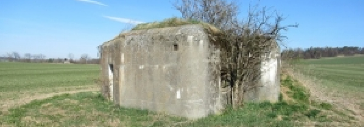kosetice-ve-slezsku-vec-45op-prehled