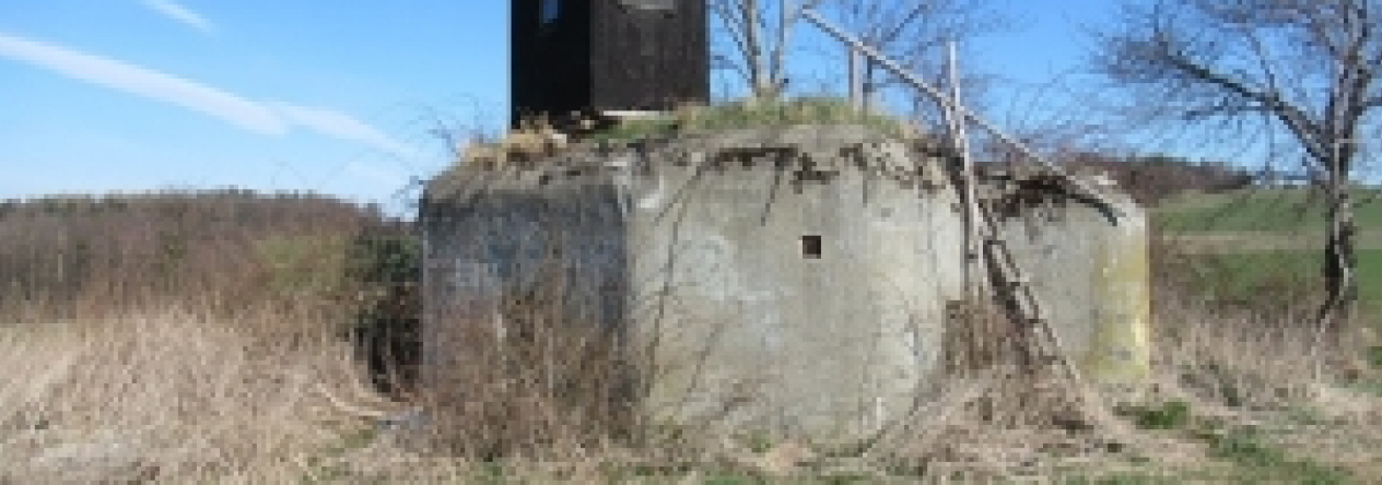 kosetice-ve-slezsku-vec-46op-prehled