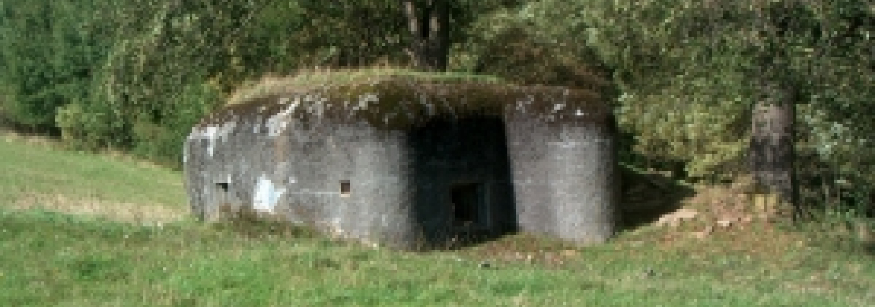 domasov-u-jesenika-vec-221je-prehled
