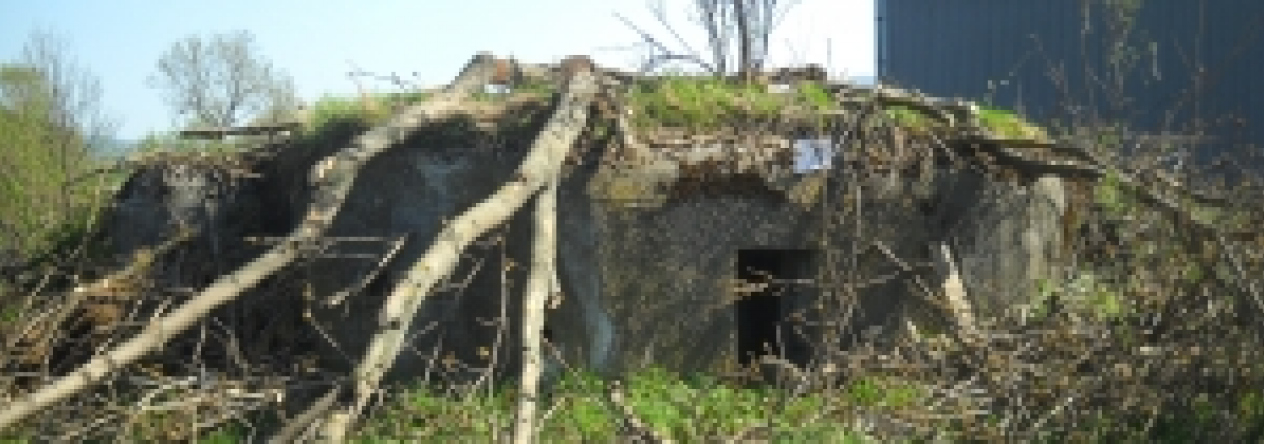 domasov-u-jesenika-vec-224je-prehled