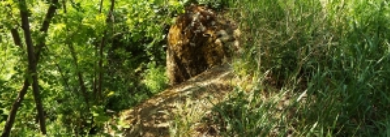 dyjakovice-vec-536ol-prehled