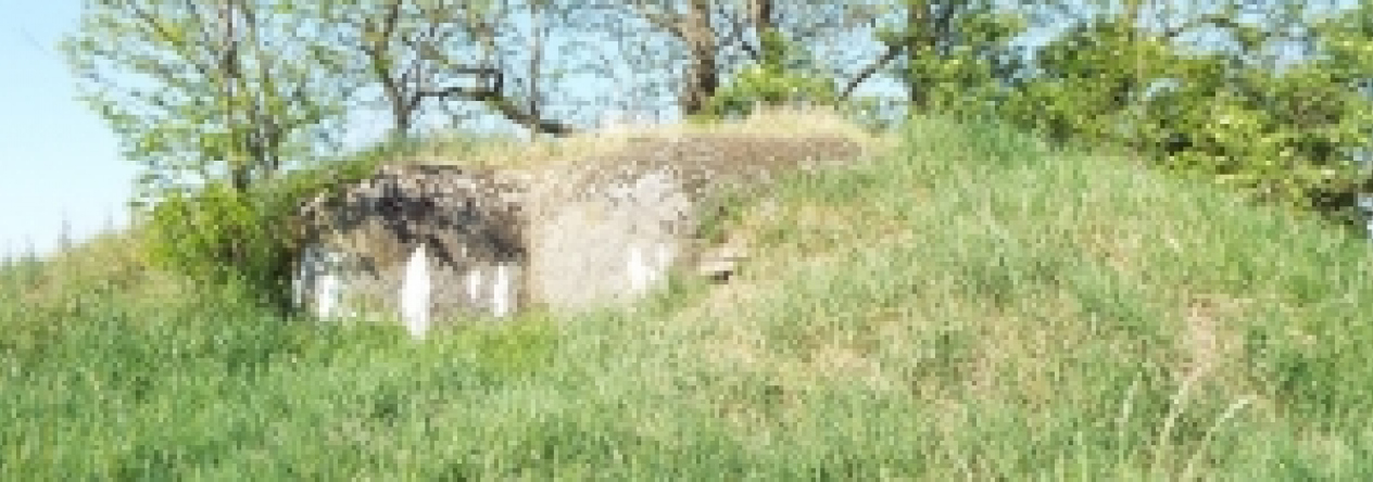 dyjakovice-vec-548ol-prehled