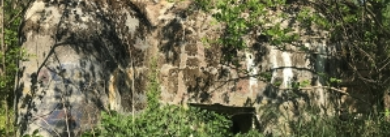 dyjakovice-vec-551ol-prehled