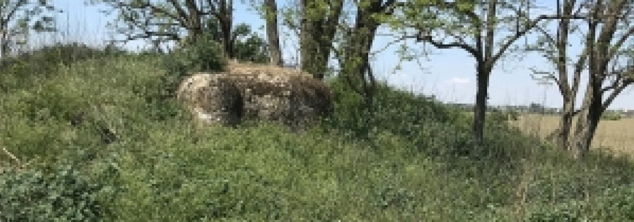 dyjakovice-vec-556ol-prehled