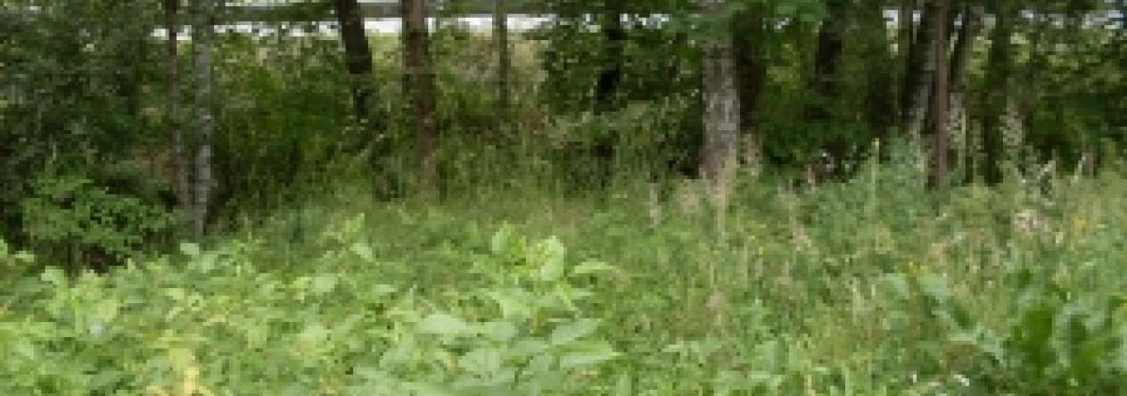 jindrichuv-hradec-pc-3847-3-3852-2-3-3855-prehled