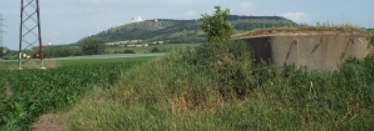 mikulov-na-morave-vec-737ol-prehled