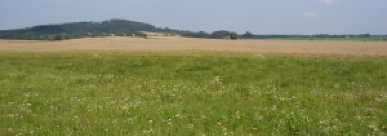 podili-u-mnichova-hradiste-podil-166-20-prehled