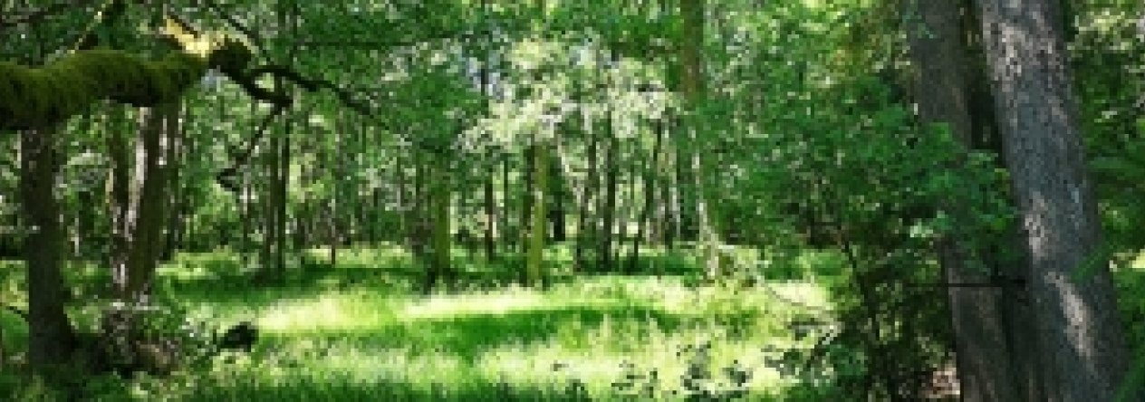 skalka-u-hazlova-pc-210-4-prehled