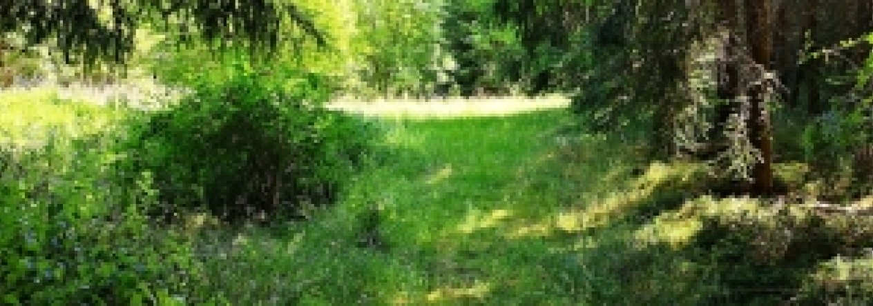 skalka-u-hazlova-pc-210-7-prehled