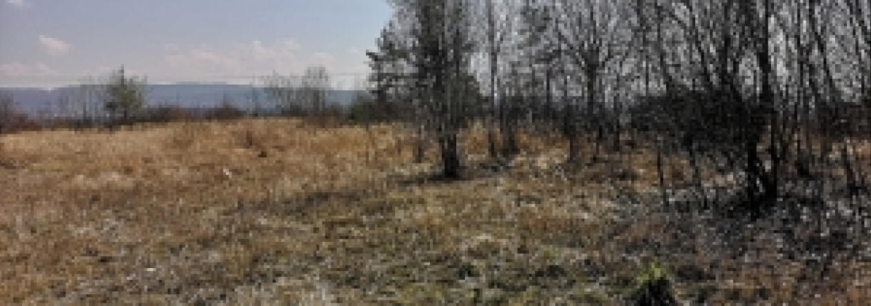tymakov-pc-1629-prehled
