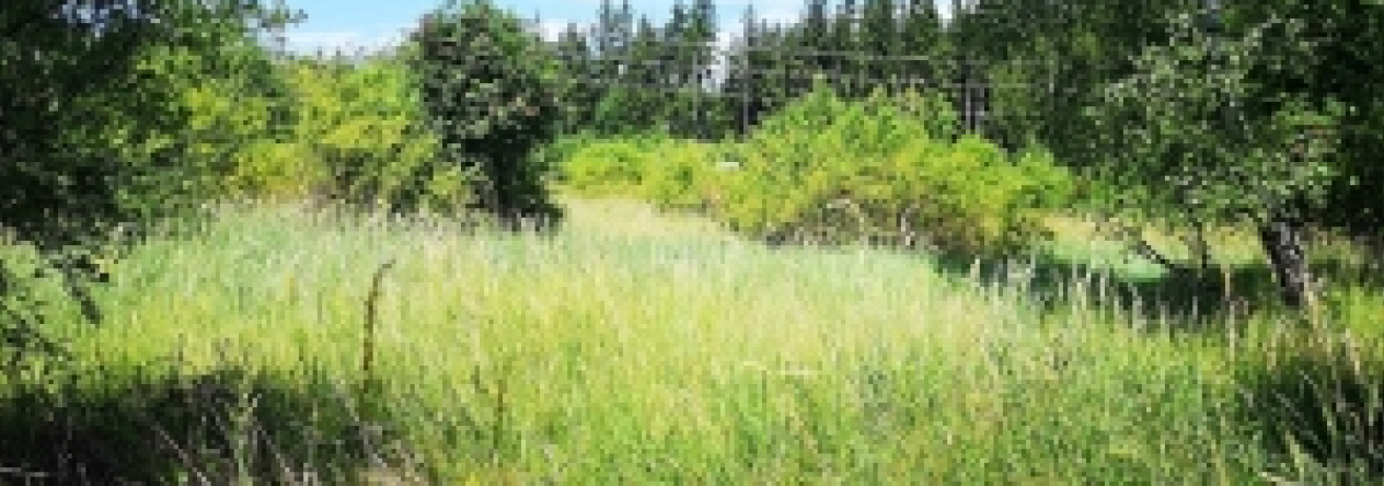 zavrzice-pc-169-1-2-3-4-5-6-7-prehled