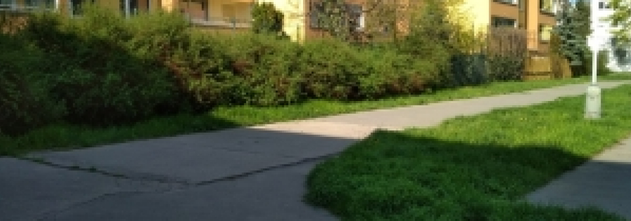 zizkov-podil-pc-3093-1-3095-5-prehled
