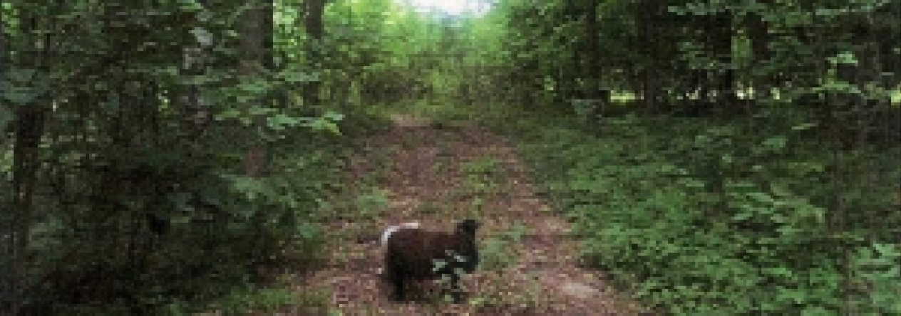 bartosovice-pc-2436-2437-2444-prehled