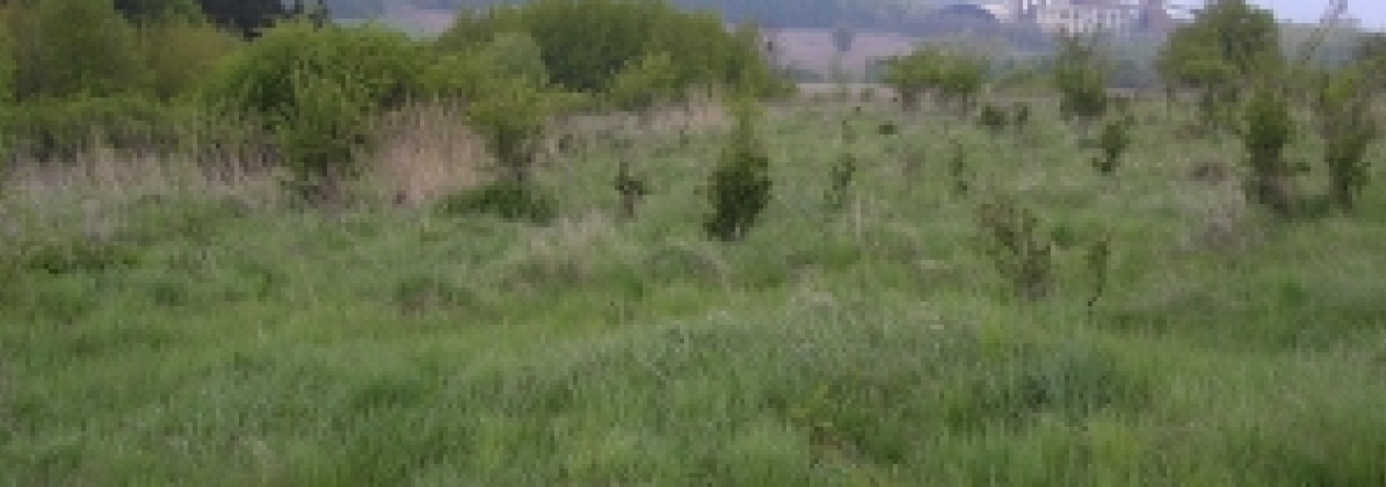 belotin-pc-1138-1-prehled