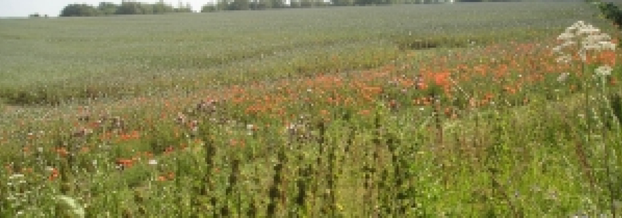 belotin-pc-2220-4-prehled