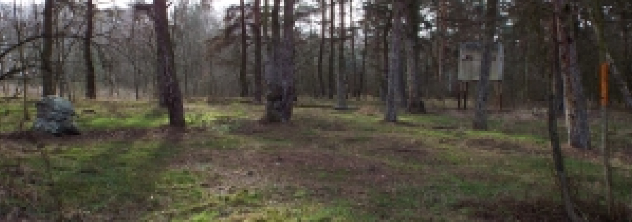 benatecka-vrutice-pc-344-3-355-7-8-jirice-pc-169-27-prehled