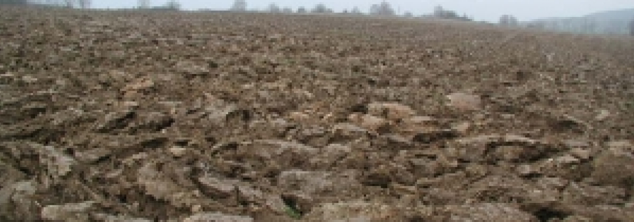 benesov-u-prahy-pc-2899-1-3-prehled