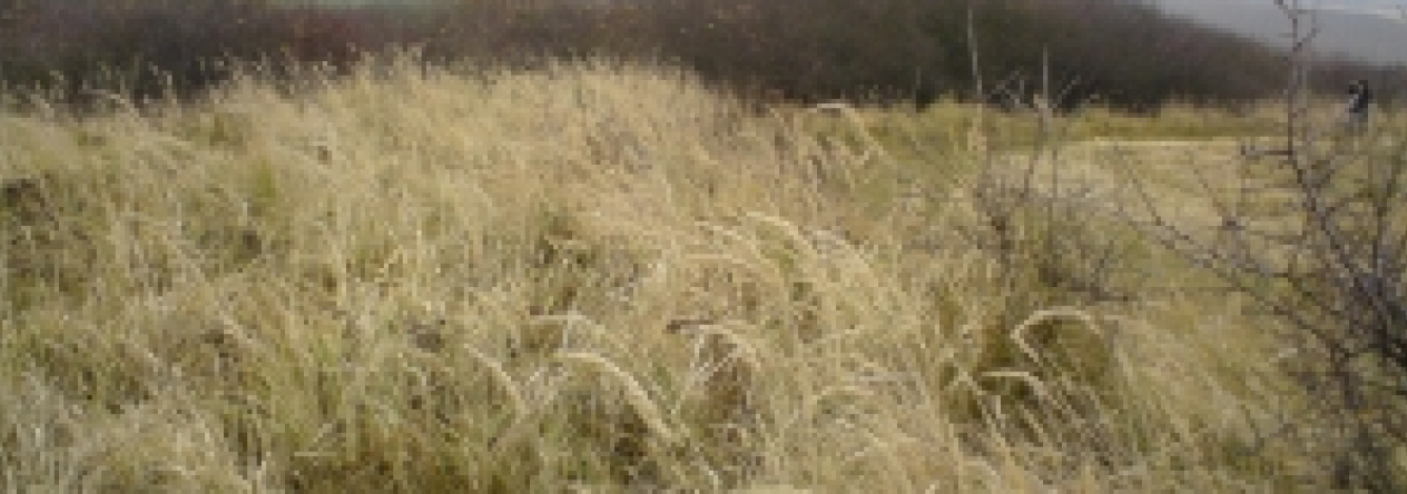 benesov-u-prahy-pc-2915-2937-2938-2939-prehled