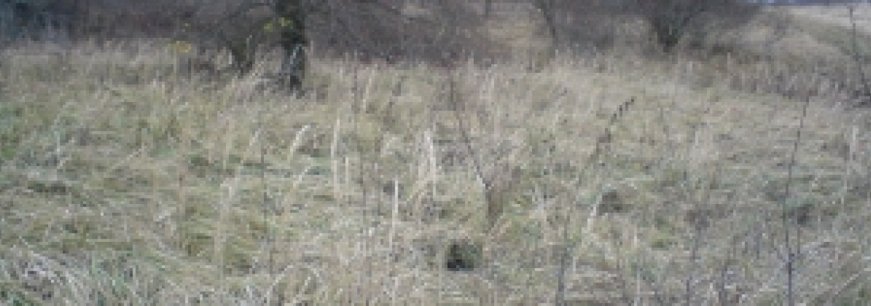 benesov-u-prahy-pc-2919-2920-prehled