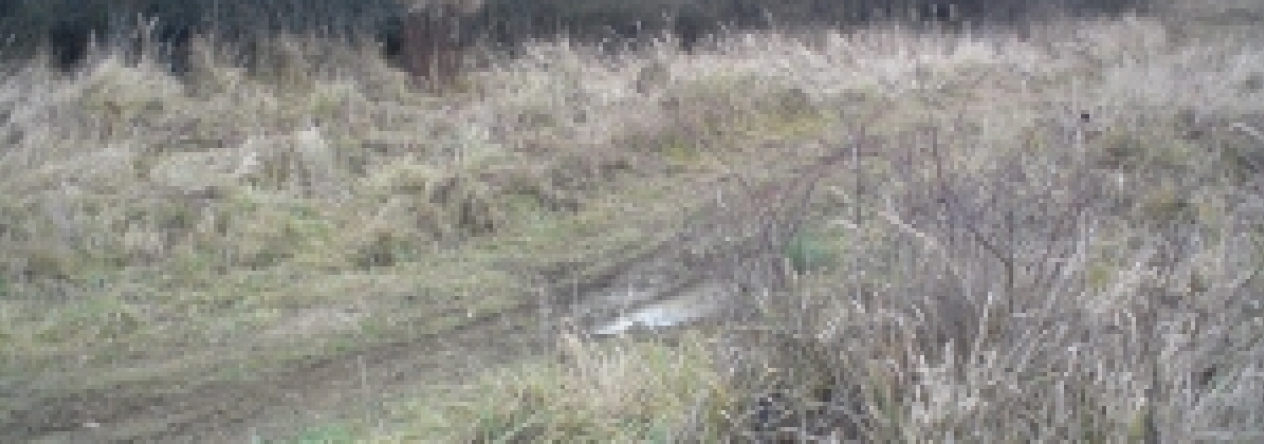 benesov-u-prahy-pc-2947-2948-2981-2982-2983-prehled