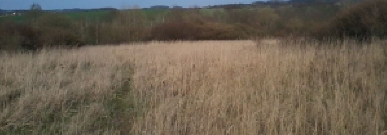 benesov-u-prahy-podil-pc-3055-3-4-3056-3057-3-4-3058-3-4-3059-3-4-prehled