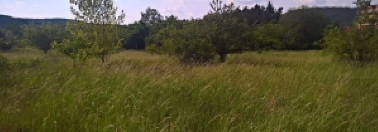 beroun-pc-2001-1-4-prehled