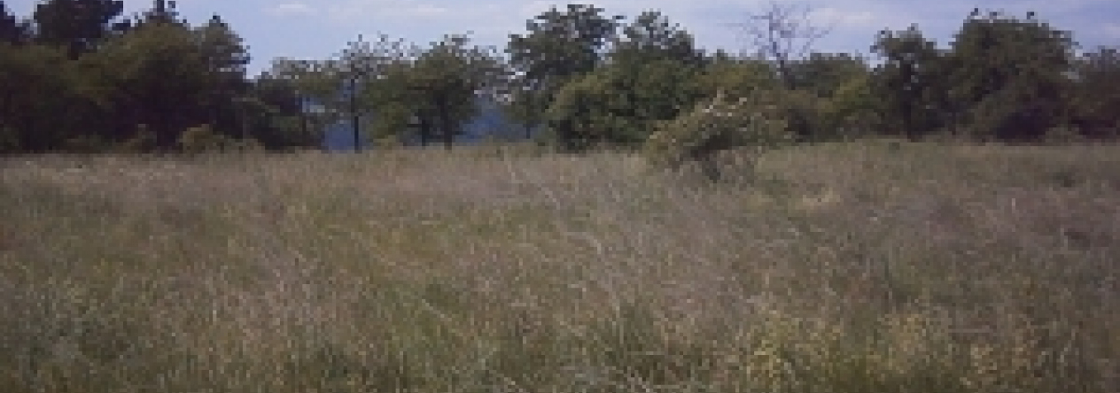 beroun-pc-2001-9-11-12-prehled