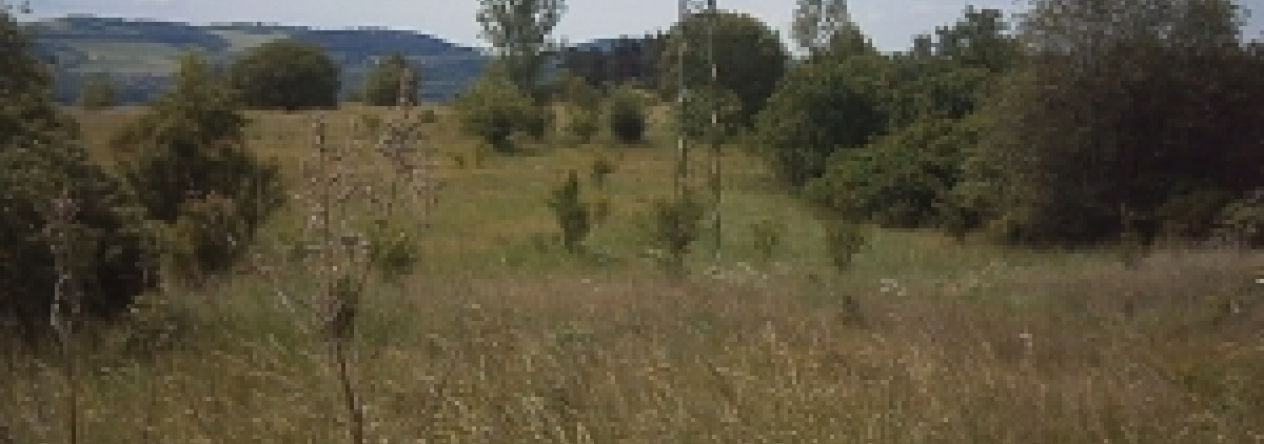 beroun-pc-2022-12-2172-16-17-prehled