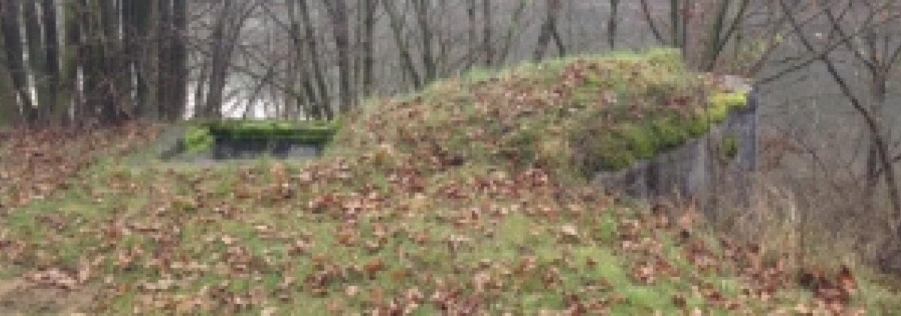 bitov-vec-287ol-prehled