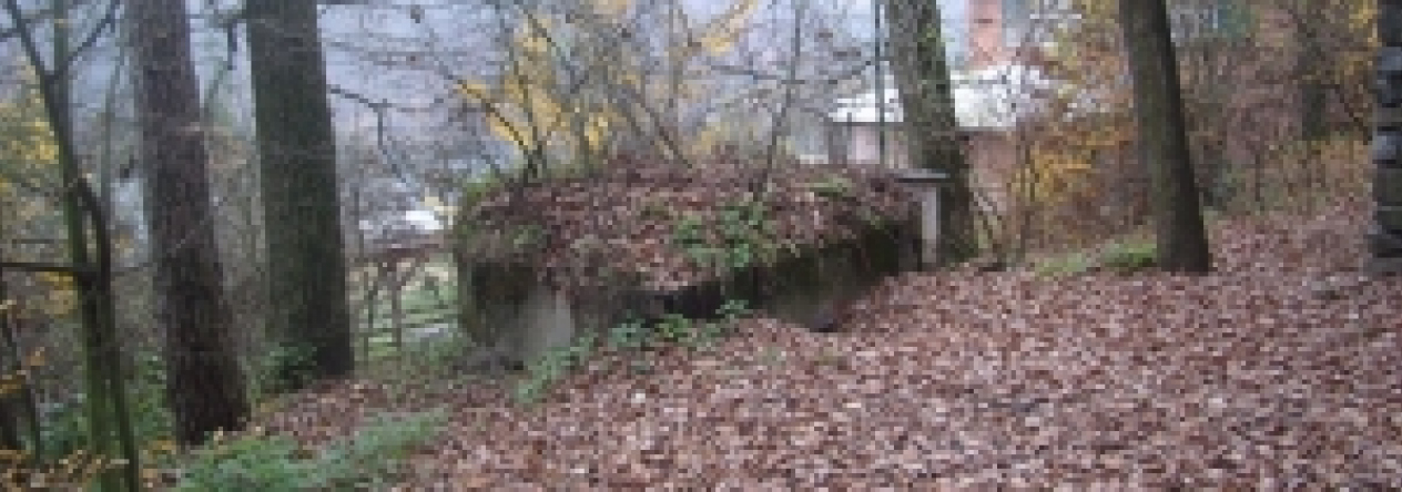 bitov-vec-289ol-prehled