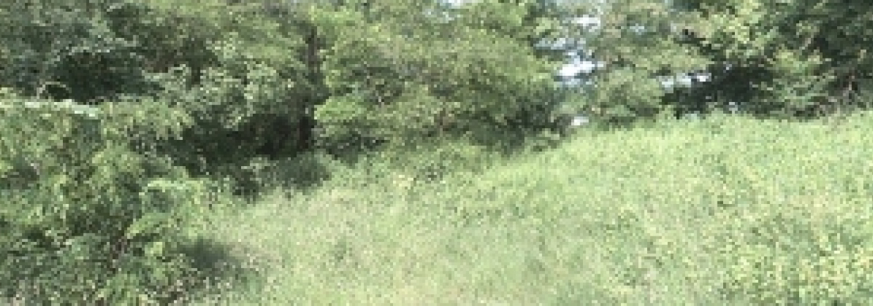 breclav-pc-1284-13-1962-207-prehled