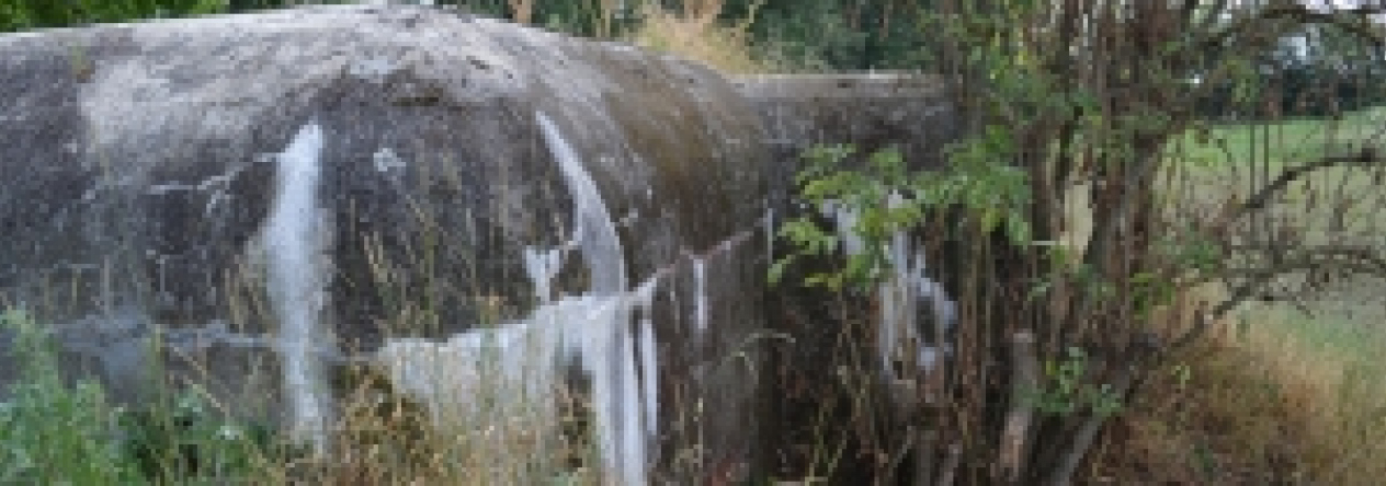 brezi-u-mikulova-vec-673ol-prehled