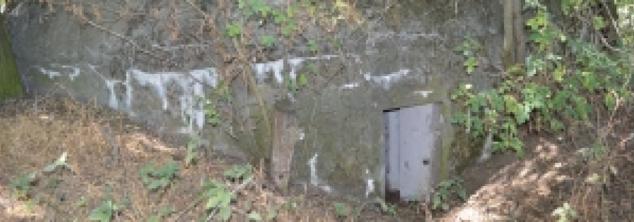 brezi-u-mikulova-vec-678ol-prehled