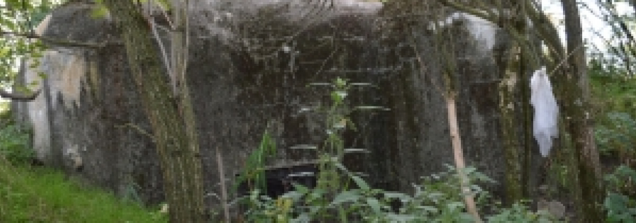 brezi-u-mikulova-vec-679ol-prehled