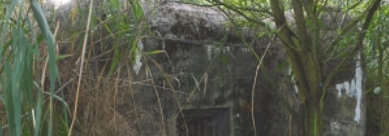 brezi-u-mikulova-vec-680ol-prehled