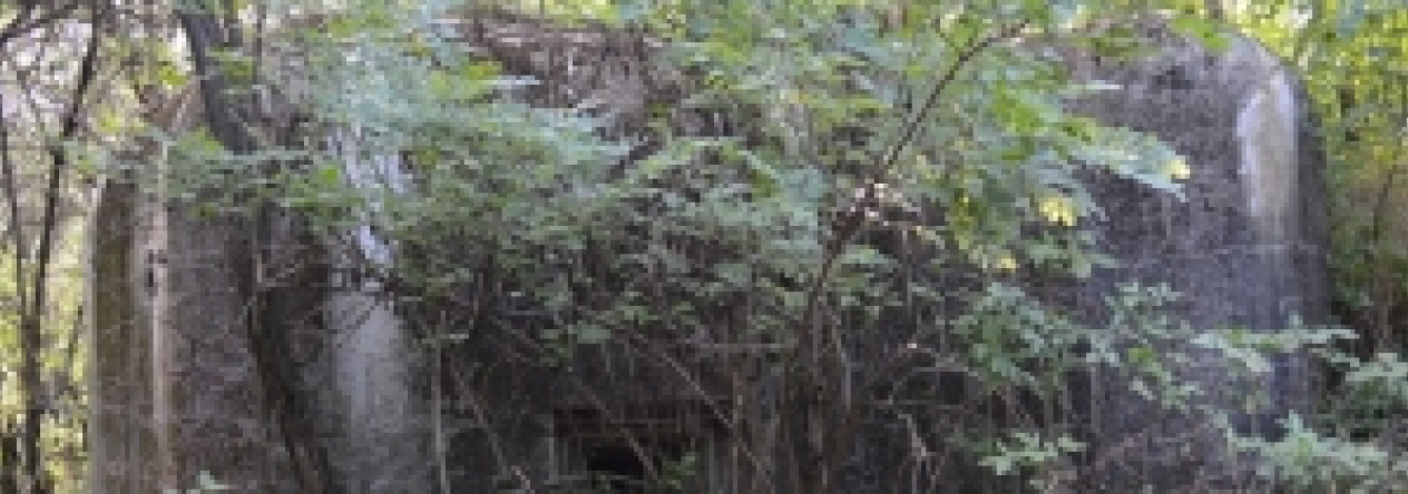 brezi-u-mikulova-vec-683ol-prehled