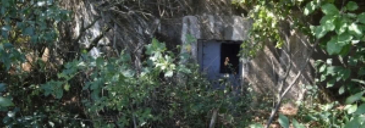 brezi-u-mikulova-vec-685ol-prehled