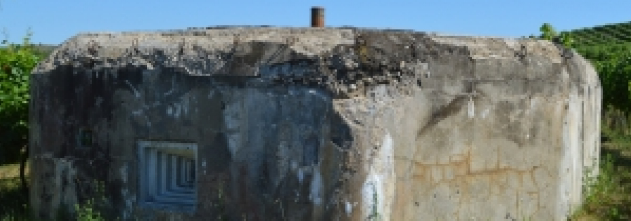 brezi-u-mikulova-vec-686ol-prehled