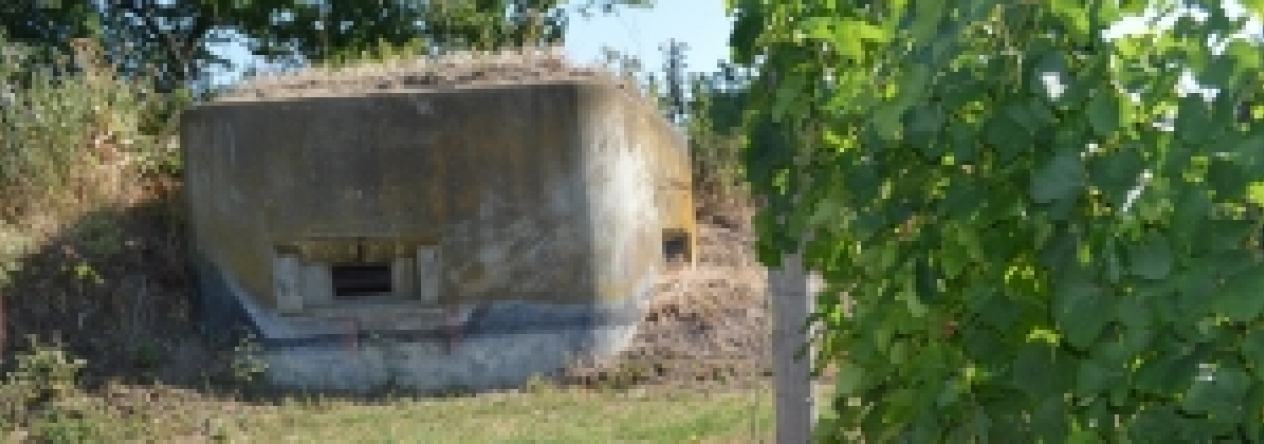 brezi-u-mikulova-vec-691aol-prehled