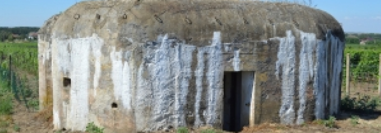 brezi-u-mikulova-vec-691ol-prehled