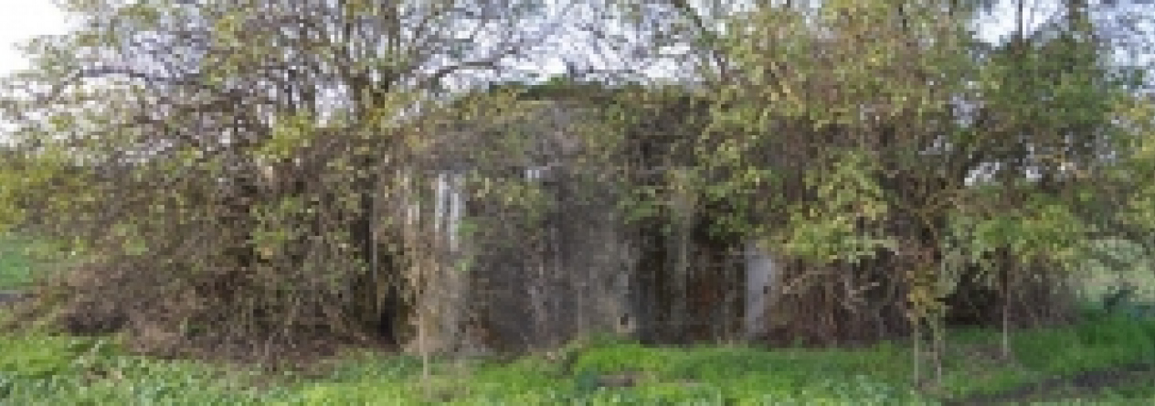 brezi-u-mikulova-vec-692ol-prehled