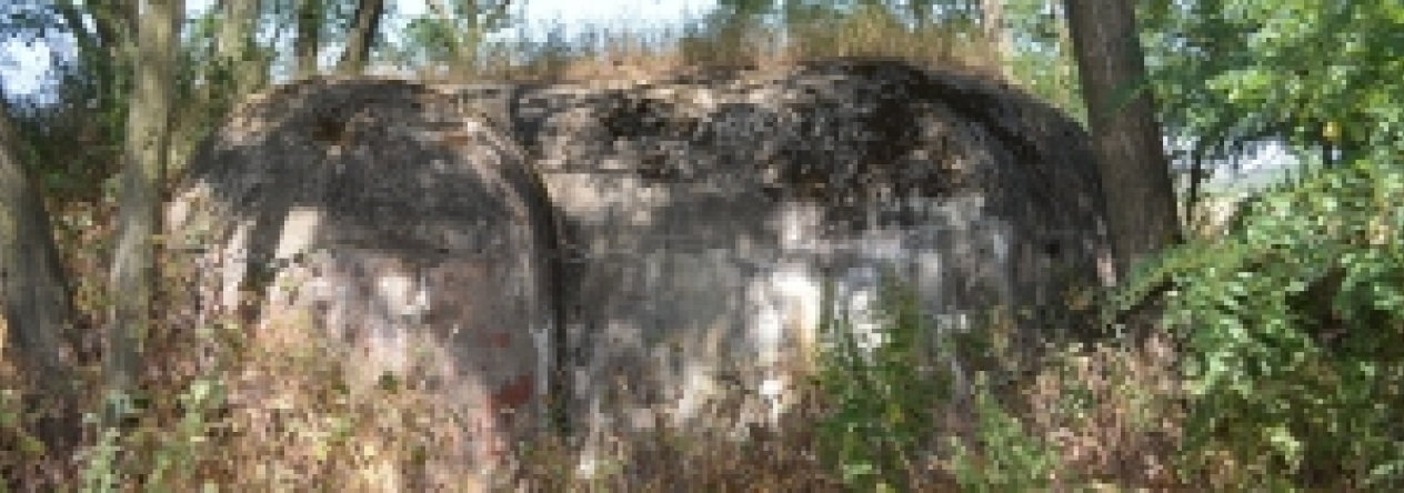 brezi-u-mikulova-vec-693ol-prehled