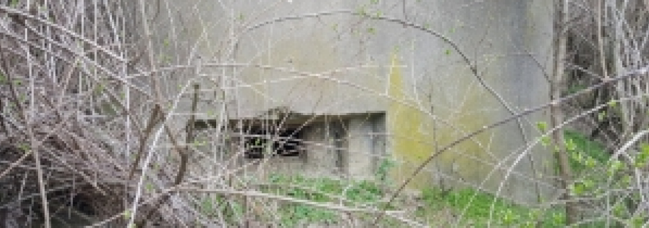 brezi-u-mikulova-vec-694ol-prehled